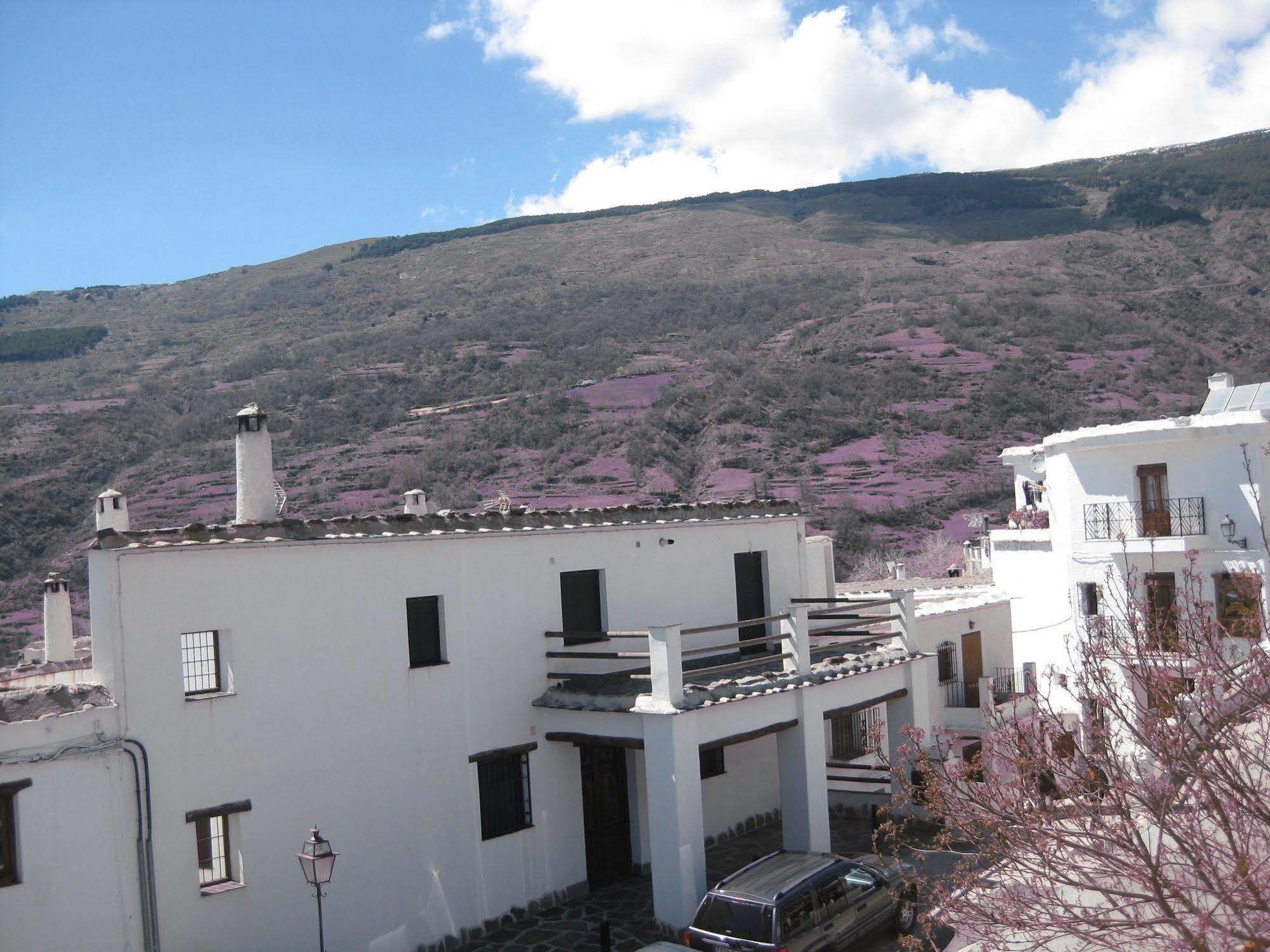 Hostal El Cascapenas De La Alpujarra 카피레이라 외부 사진